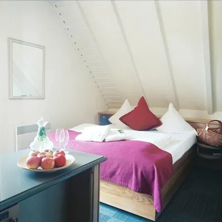 La Clairiere Bio & Spahotel Hotel 4*
