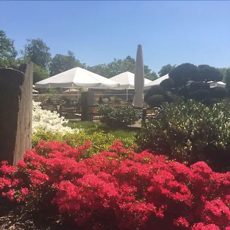 La Clairiere Bio & Spahotel Hotell La Petite-Pierre