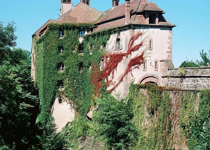 Hotel La Clairiere Bio & Spahotel La Petite-Pierre