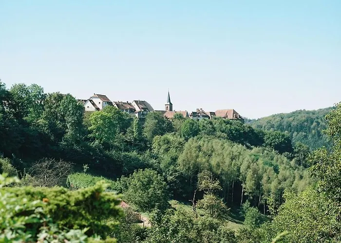 Hotel La Clairiere Bio & Spahotel La Petite-Pierre