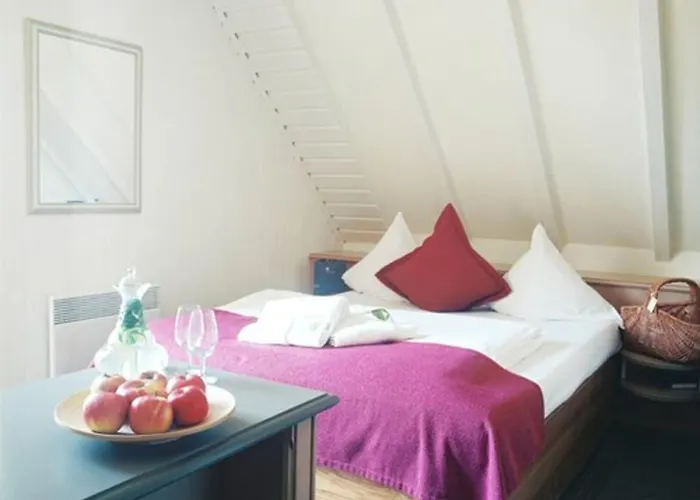 La Clairiere Bio & Spahotel Hotel 4*