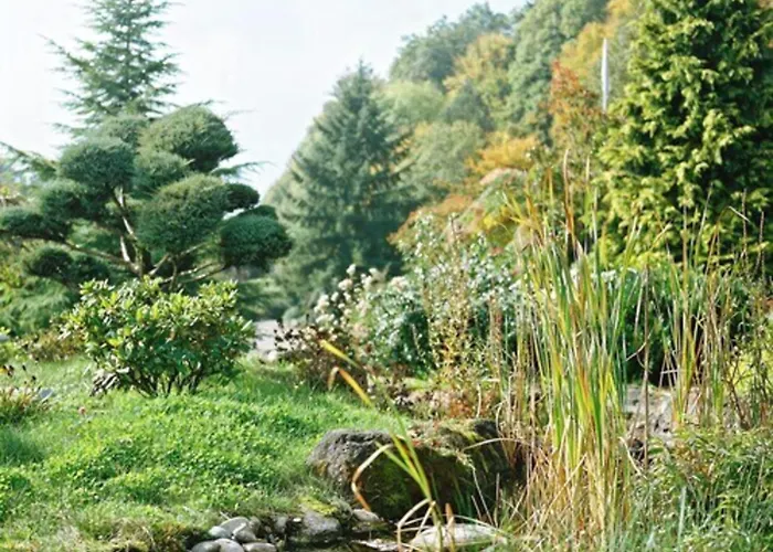 ホテル クレリエール スパ アンド ビオ ラ・プティット・ピエール