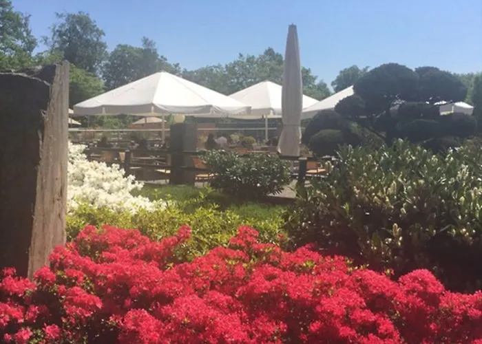 クレリエール スパ アンド ビオ ホテル ラ・プティット・ピエール